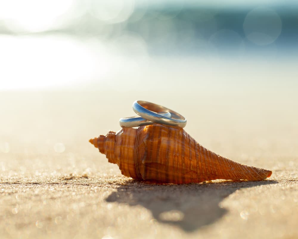 Two wedding rings balanced on a conch shell on a sunlit beach