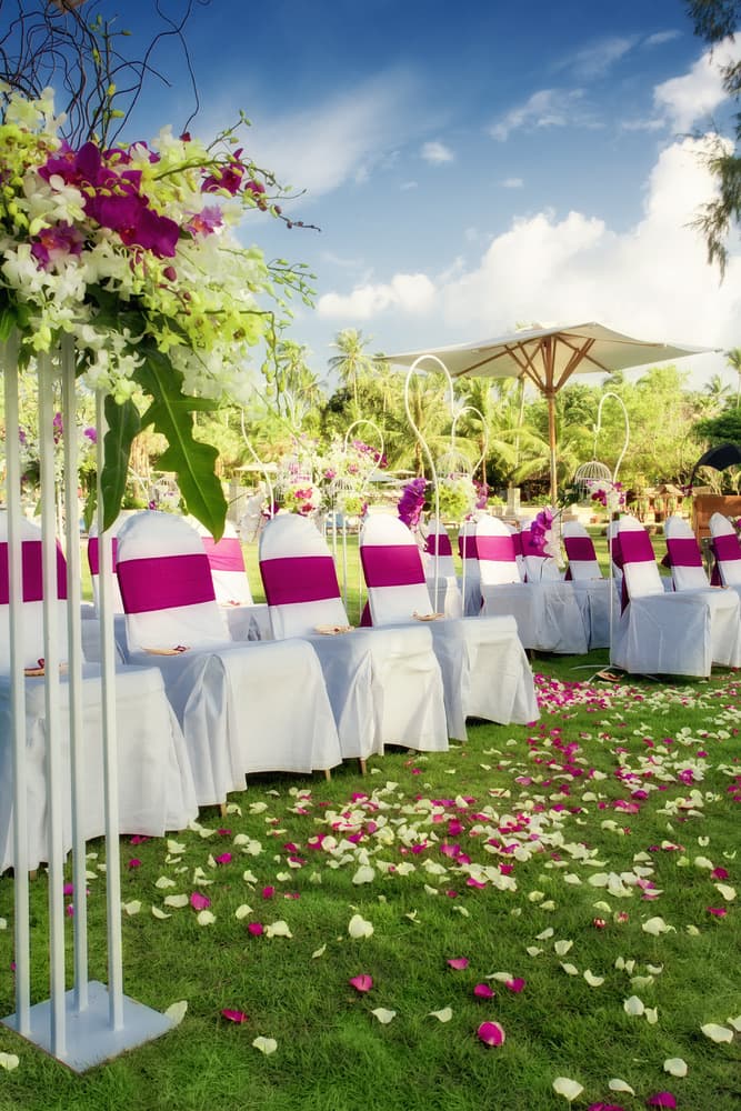 A garden ceremony aisle lined with white chairs, fuchsia sashes and scattered petals